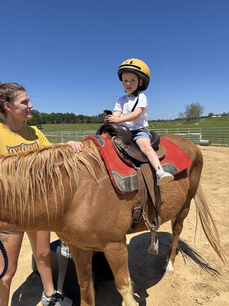 Little Creek Equine event photo