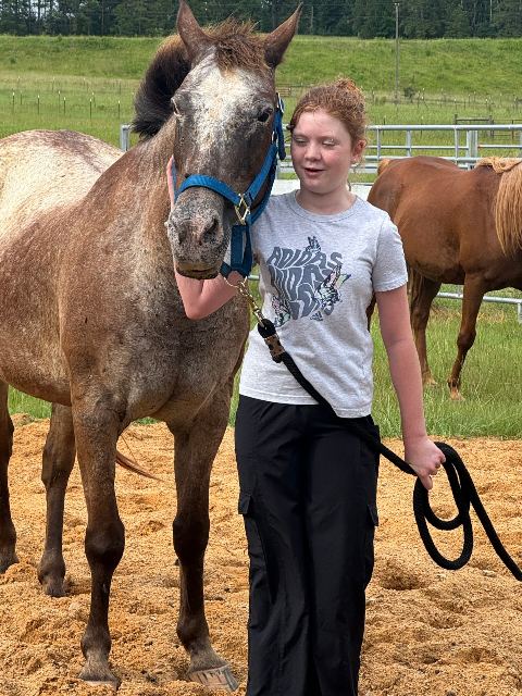 Little Creek Equine event photo