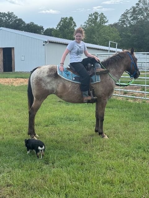 Little Creek Equine event photo