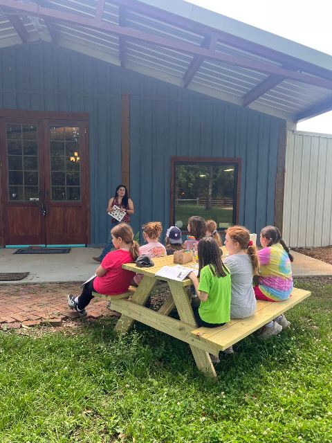 Little Creek Equine event photo