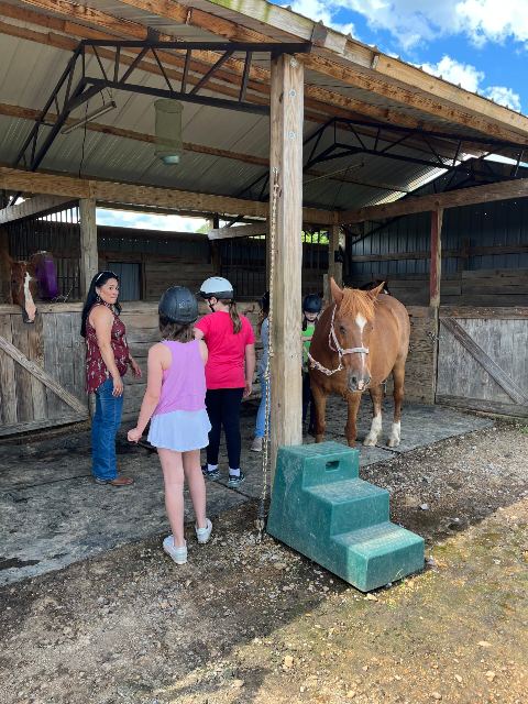 Little Creek Equine event photo