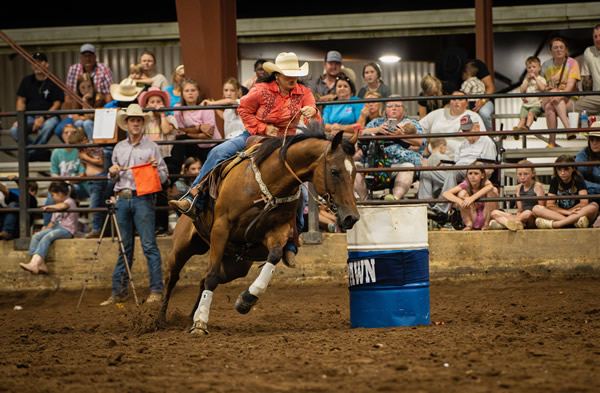Little Creek Equine event photo